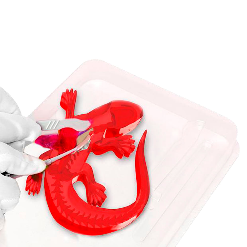 Kit de Dissecação com Refil Lab Dissect-It - Salamandra - Imagem 4