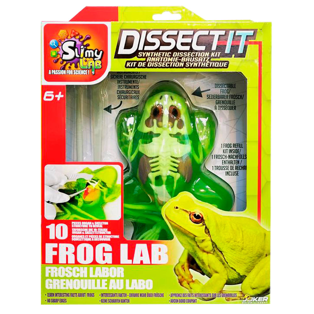 Kit de Dissecação com Refil Lab Dissect-It - Sapo