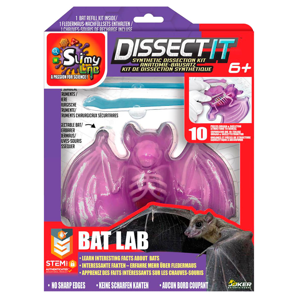 Kit de Dissecação com Refil Lab Dissect-It - Morcego