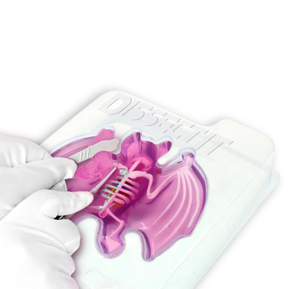 Kit de Dissecação com Refil Lab Dissect-It - Morcego - Imagem 3