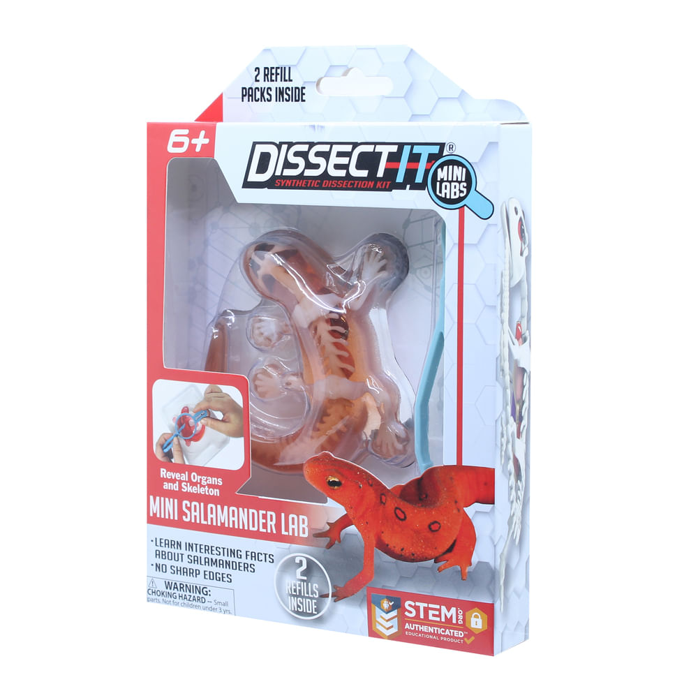 Kit de Dissecação Mini Lab Dissect-It - Salamandra - Imagem 4