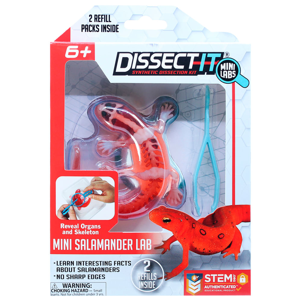 Kit de Dissecação Mini Lab Dissect-It - Salamandra