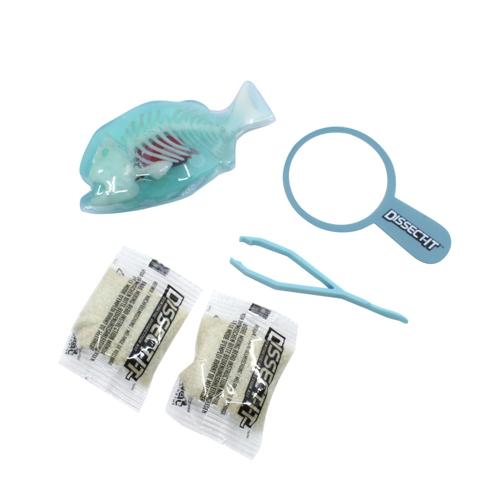 Kit de Dissecação Mini Lab Dissect-It - Piranha - Imagem 3