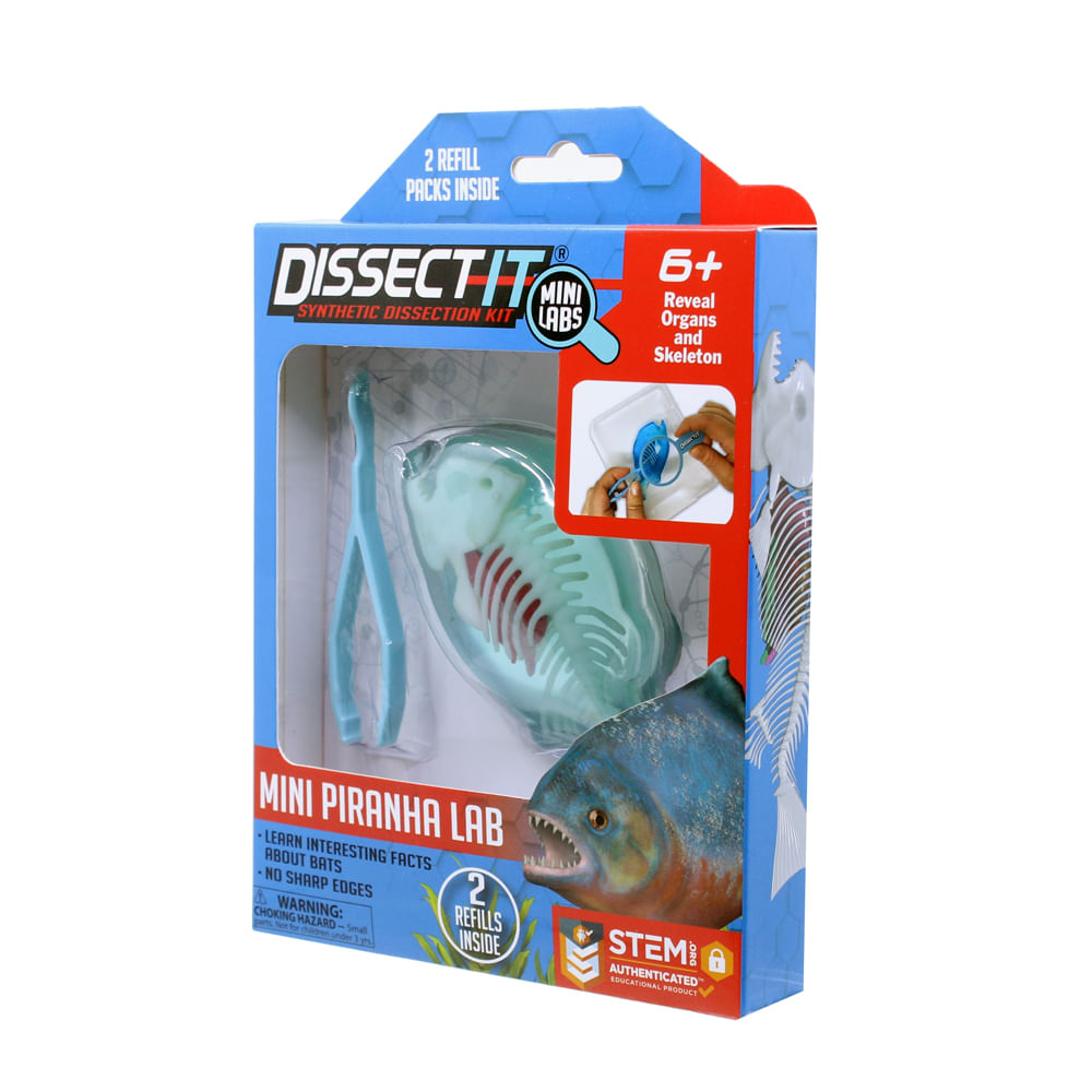 Kit de Dissecação Mini Lab Dissect-It - Piranha - Imagem 4