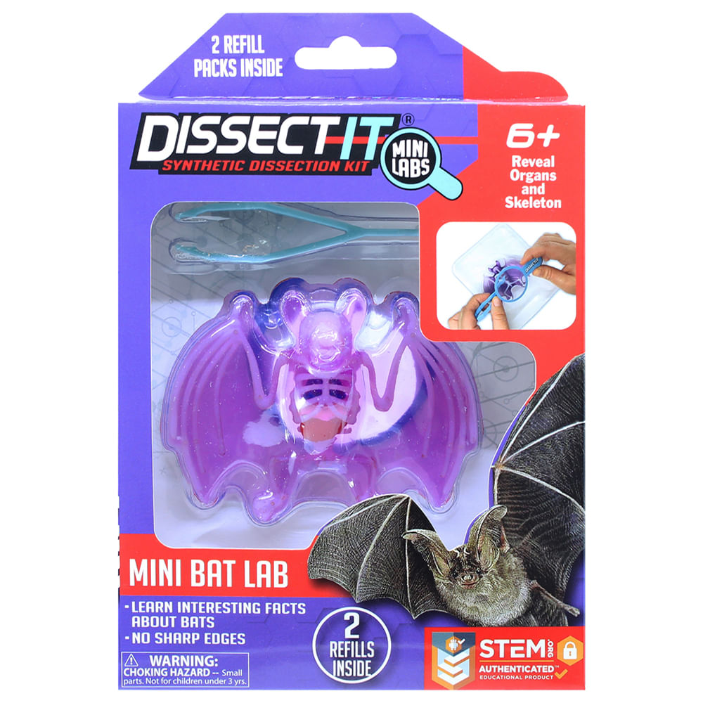 Kit de Dissecação Mini Lab Dissect-It - Morcego