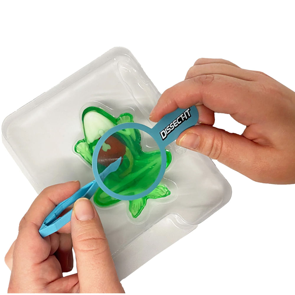 Kit de Dissecação Mini Lab Dissect-It - Sapo - Imagem 2