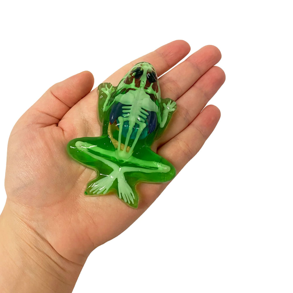 Kit de Dissecação Mini Lab Dissect-It - Sapo - Imagem 3