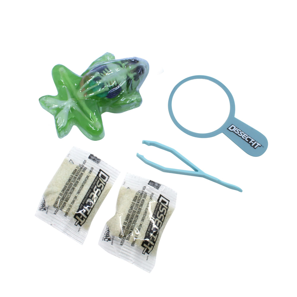 Kit de Dissecação Mini Lab Dissect-It - Sapo - Imagem 5