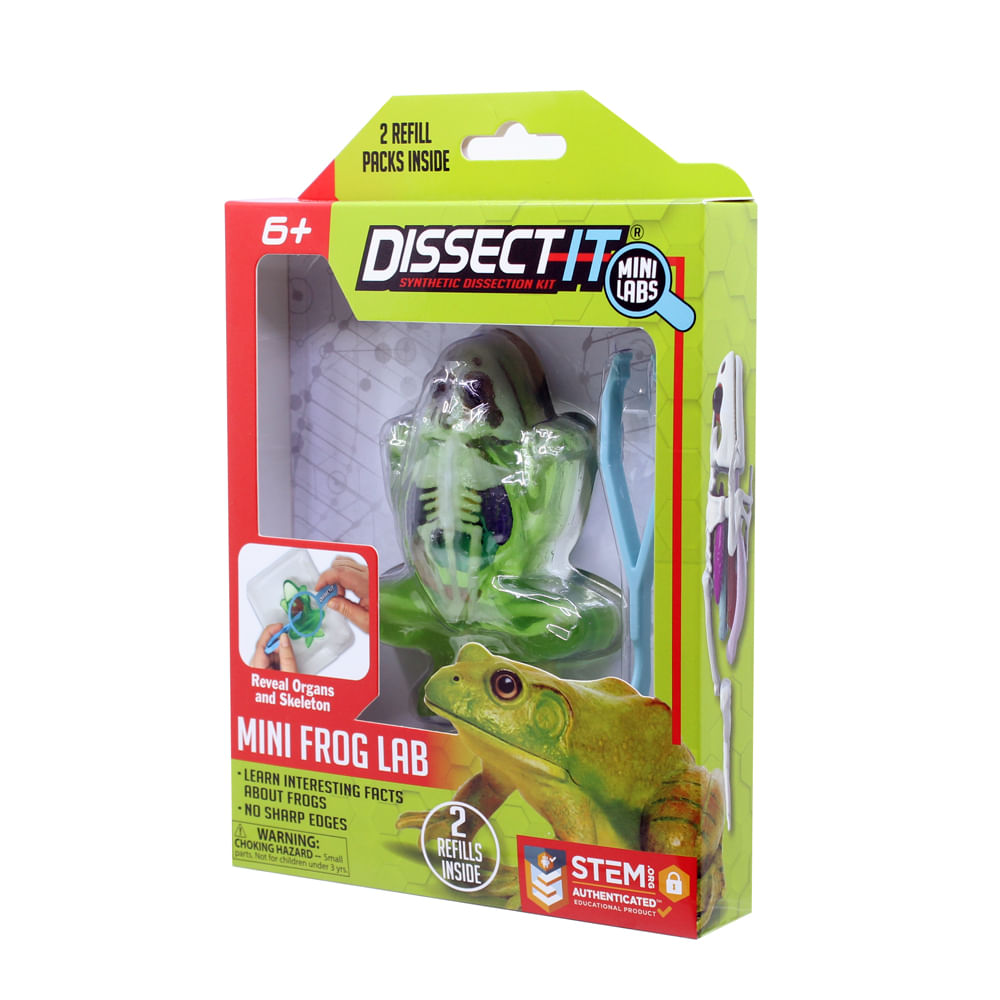 Kit de Dissecação Mini Lab Dissect-It - Sapo - Imagem 6