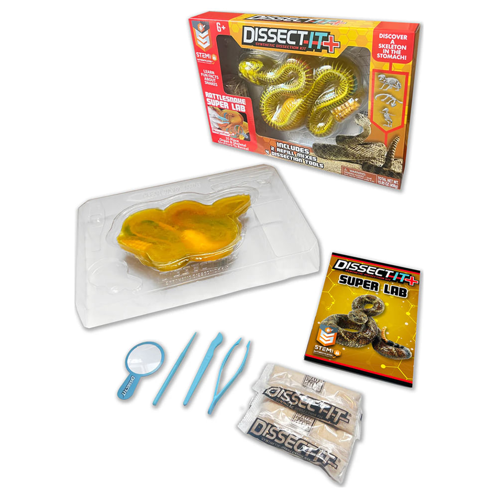 Kit de Dissecação Dissect-It Super Lab - Cobra - Imagem 3