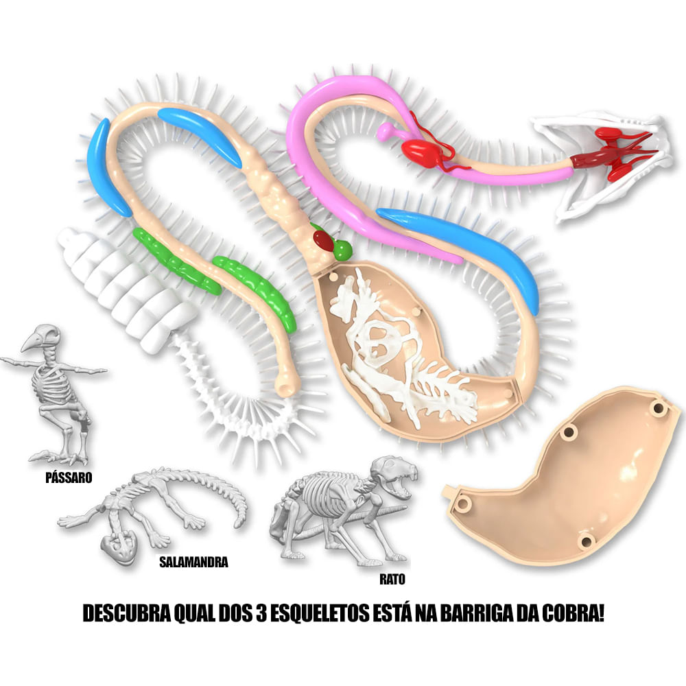 Kit de Dissecação Dissect-It Super Lab - Cobra - Imagem 5