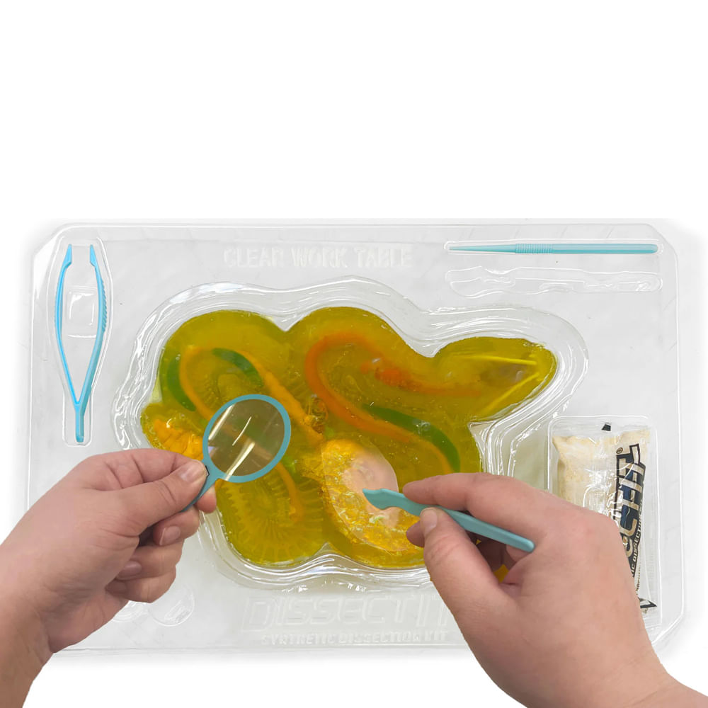 Kit de Dissecação Dissect-It Super Lab - Cobra - Imagem 7