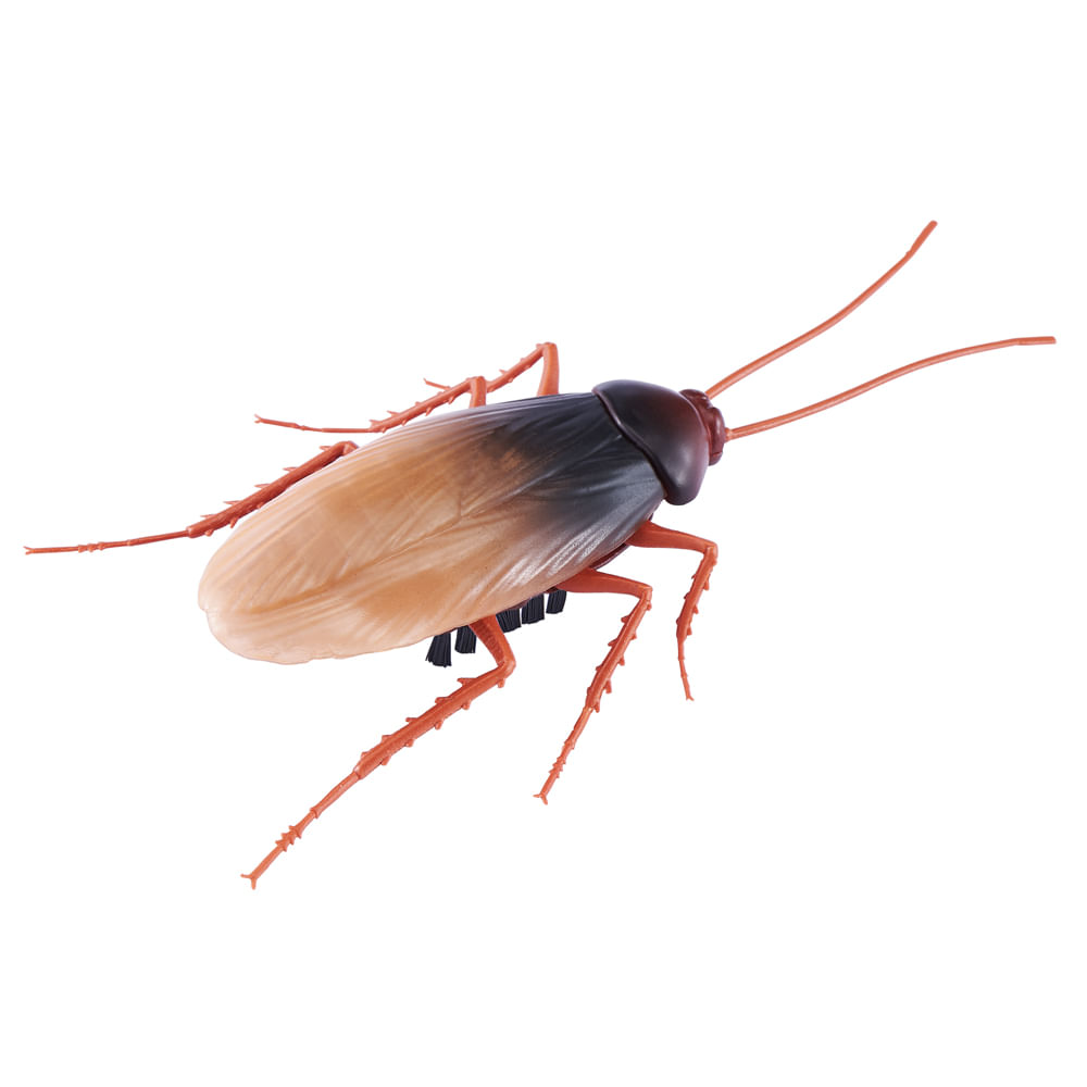 Barata Robótica Robo Alive